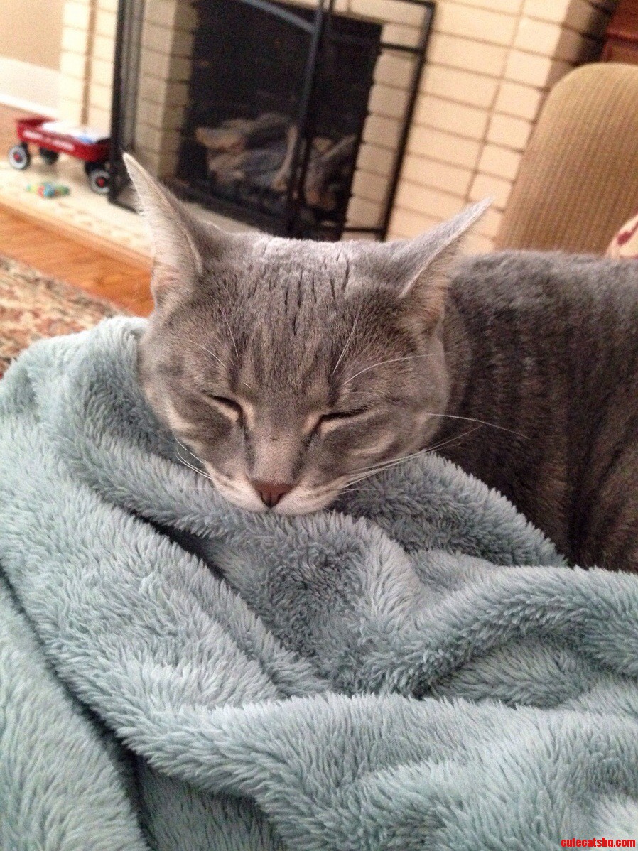 The Best Snowday Nap Buddy.