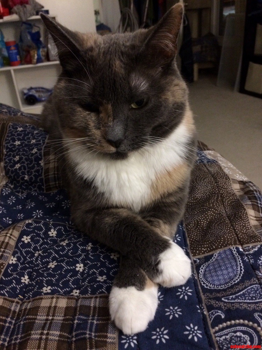 The Queen Is Displeased