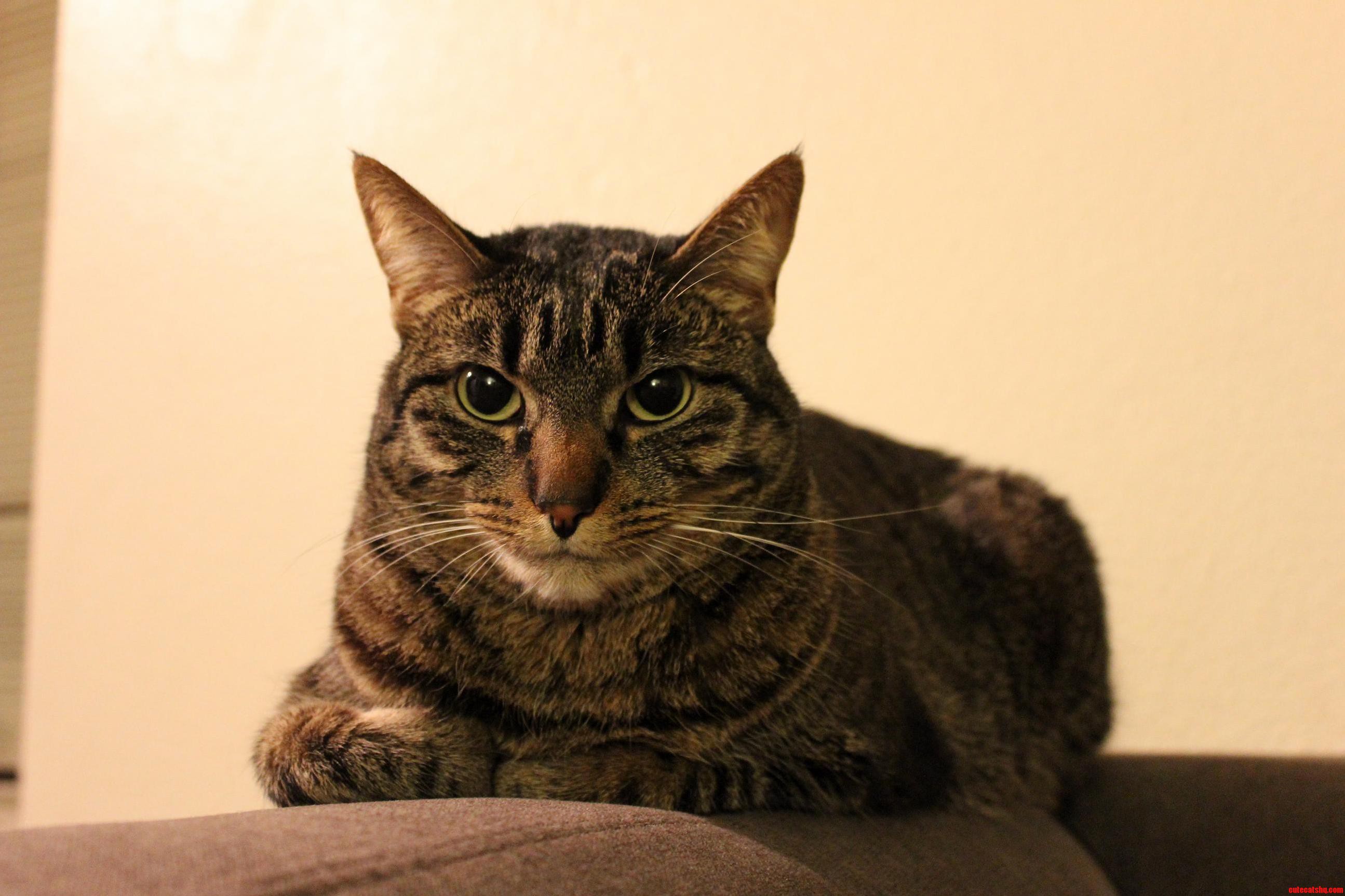 The Why Dont You Have a Seat Loaf