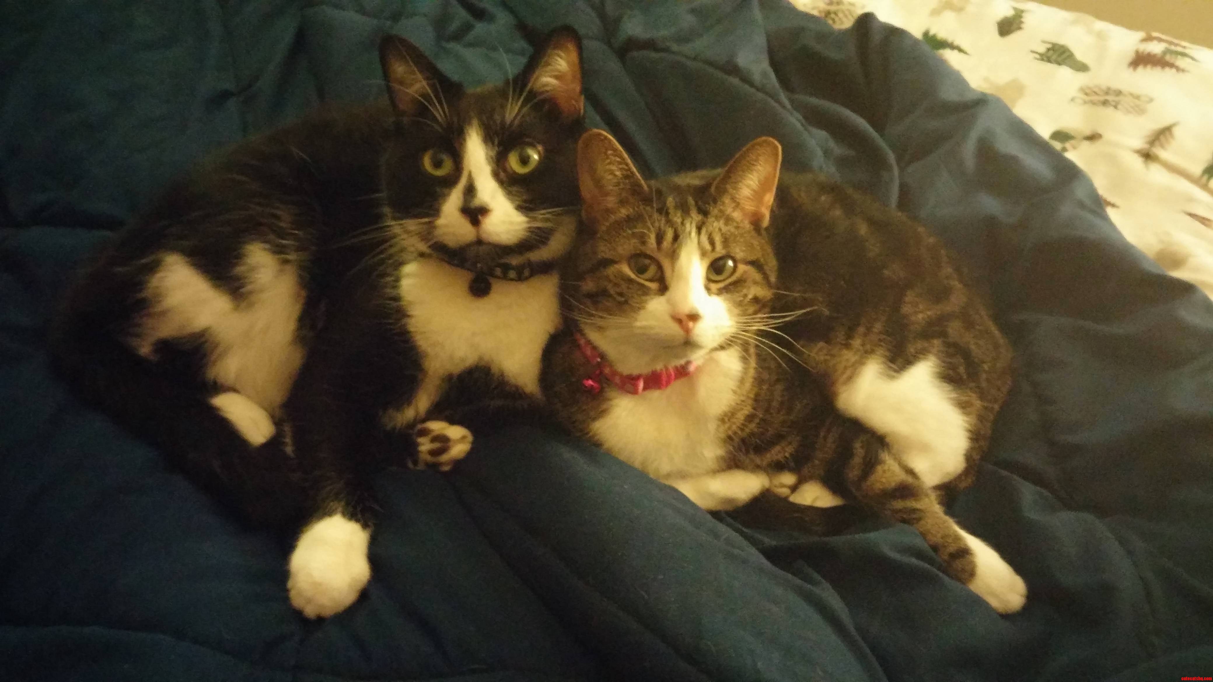 They Love Each Other... Sometimes.