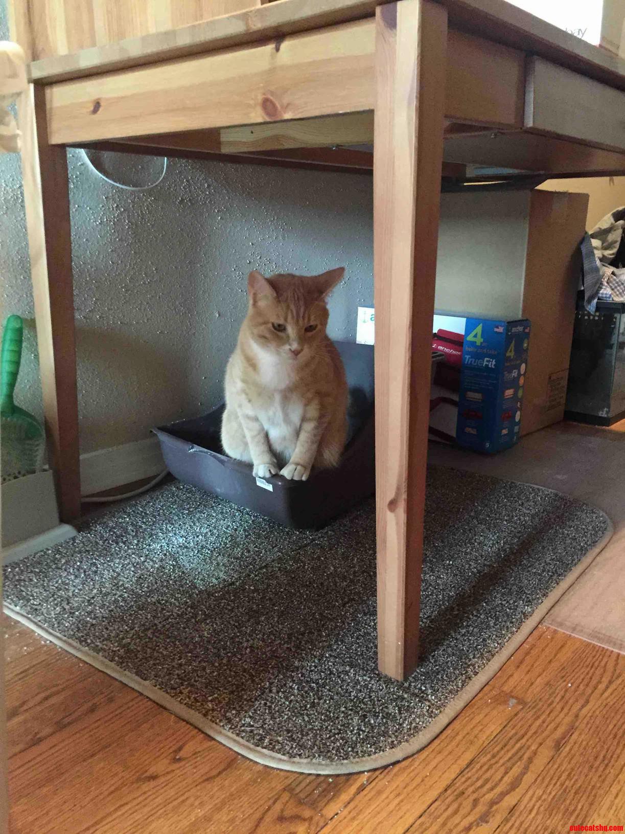This Is How He Always Pees