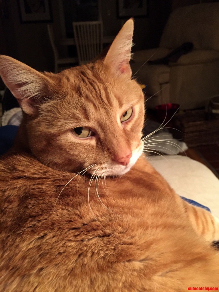 This Is Mackey. Hes Eight. and Condescending.