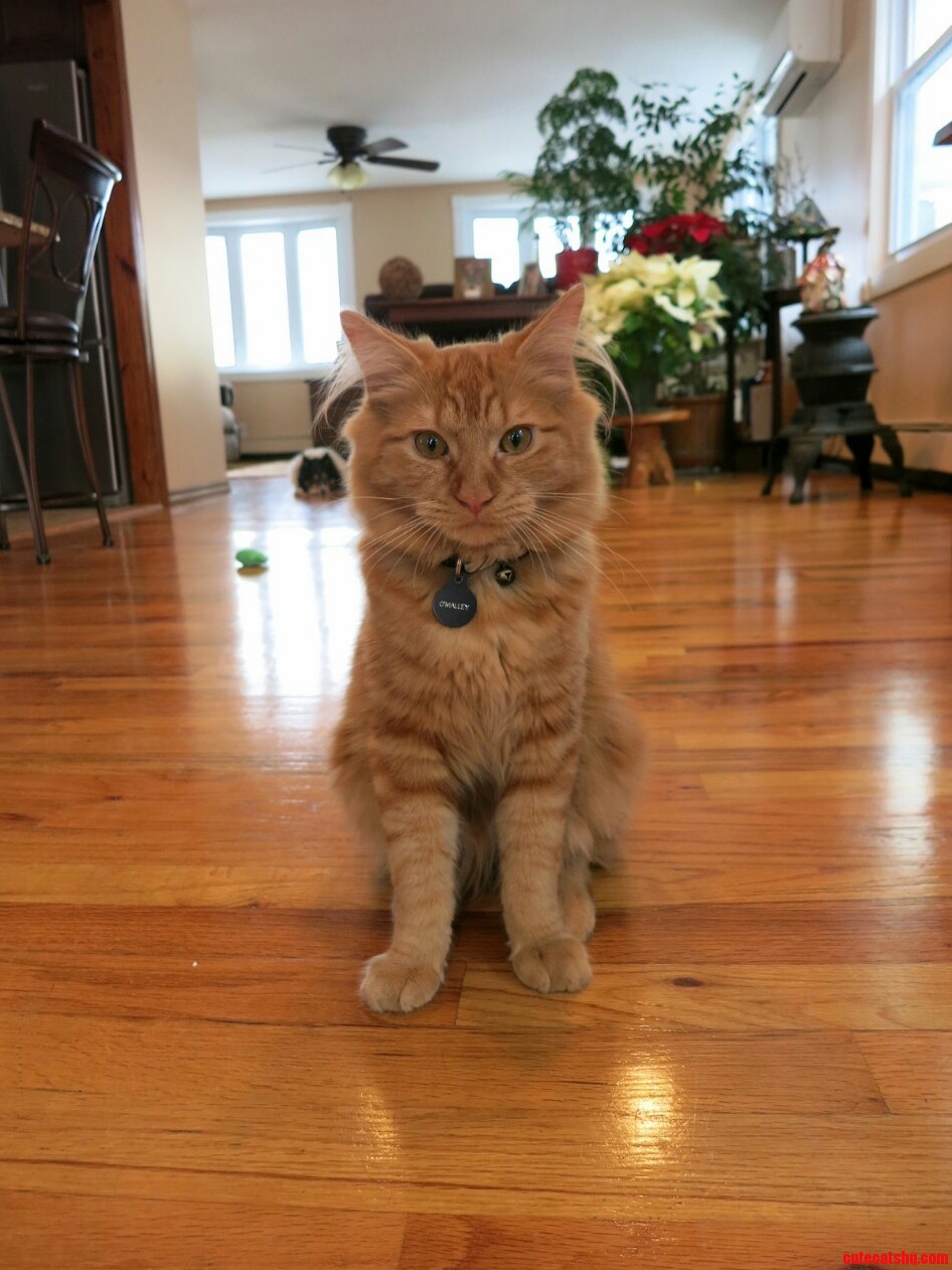 This Is the Best Photo I Have Ever Taken of Him.