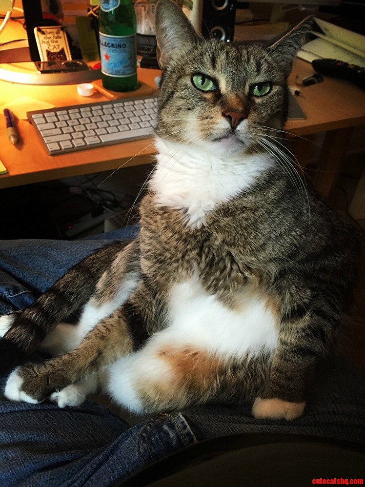 Toby Is Great Company While Im Working