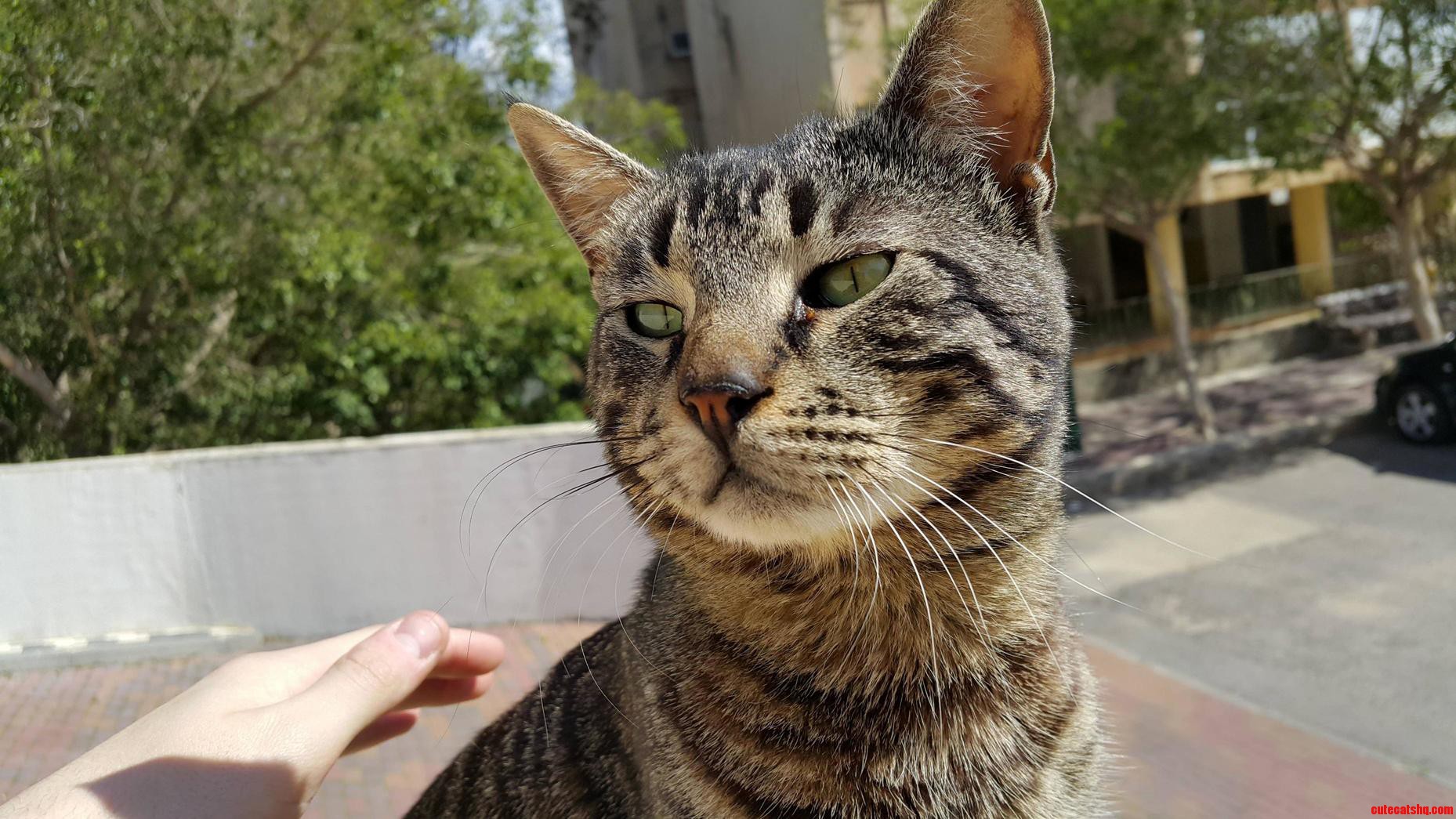 Took a Picture of This Handsome Bastard Today.