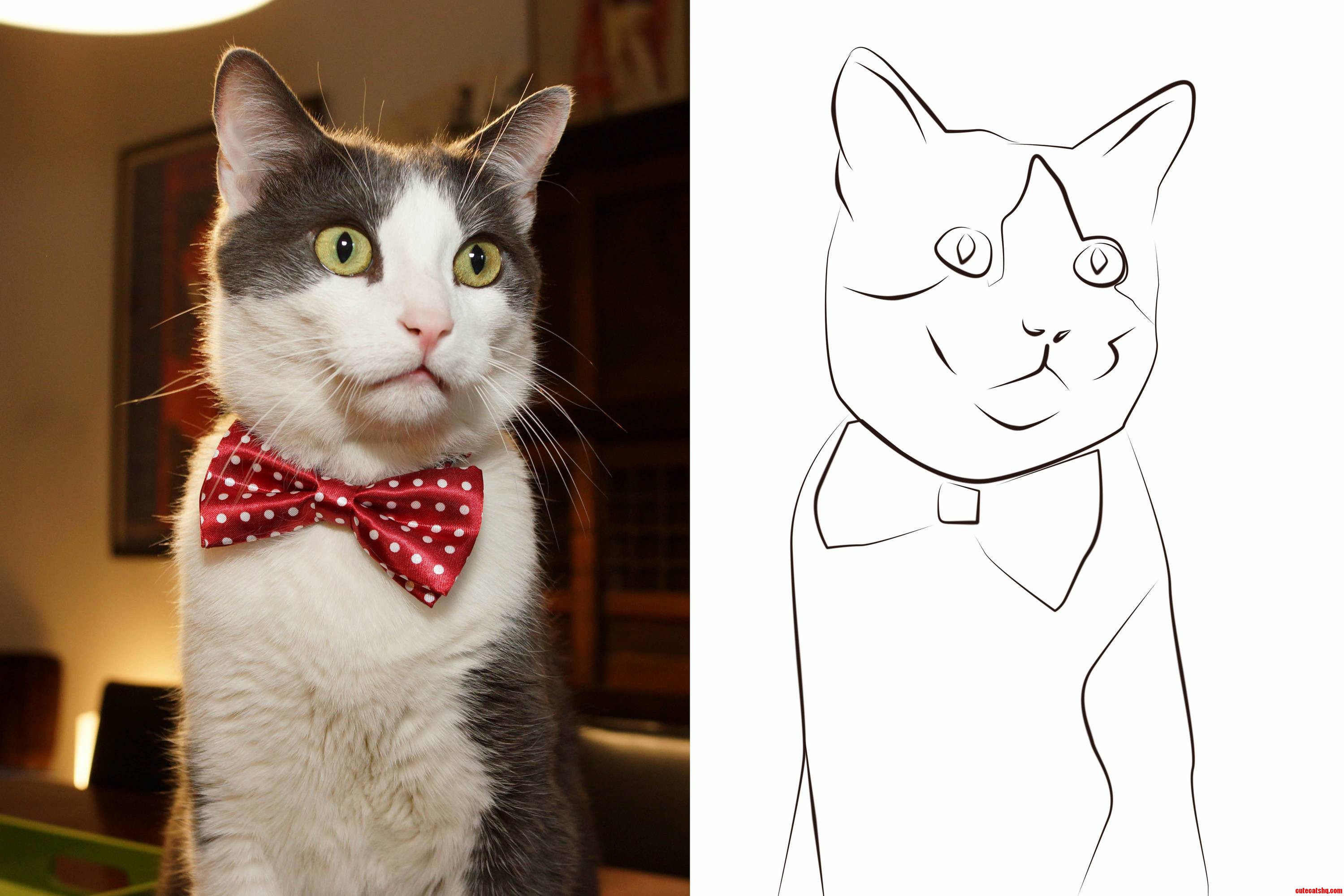 Traced a Pic of Peter Wearing His Bow Tie in Photoshop