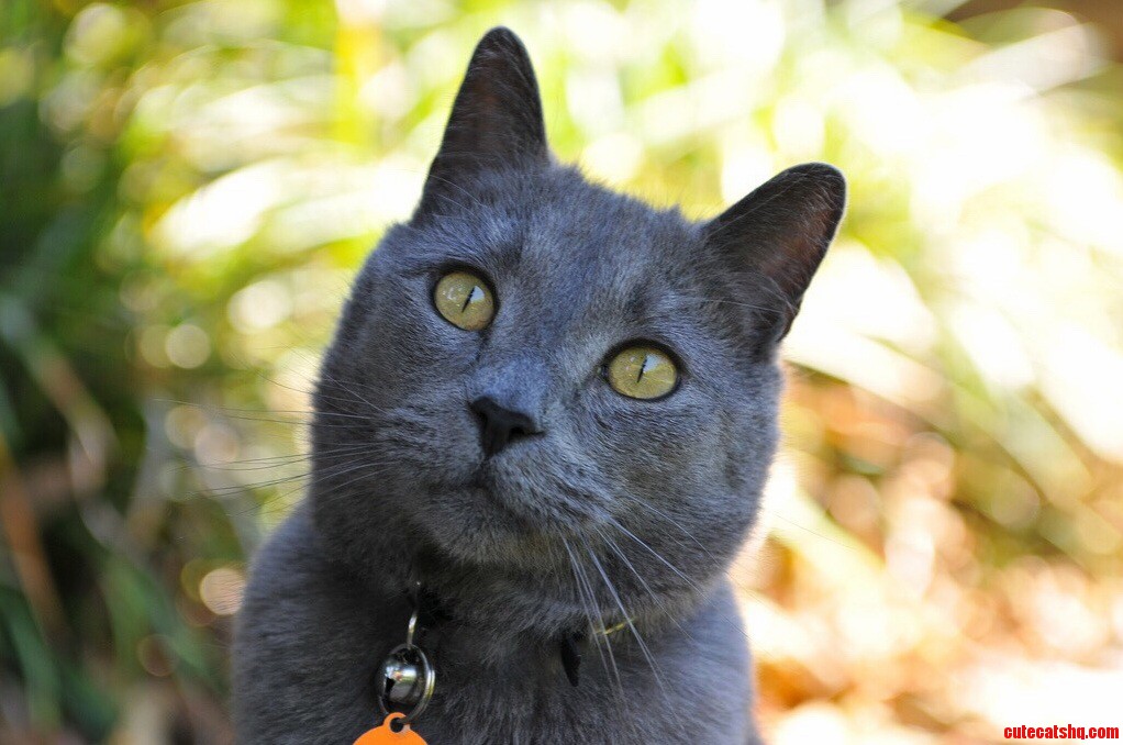 Unexpectedly Lost a Mate of 10 Years Today. Here Is Jpeg You Ll Be Fondly Remembered and Missed Greatly.
