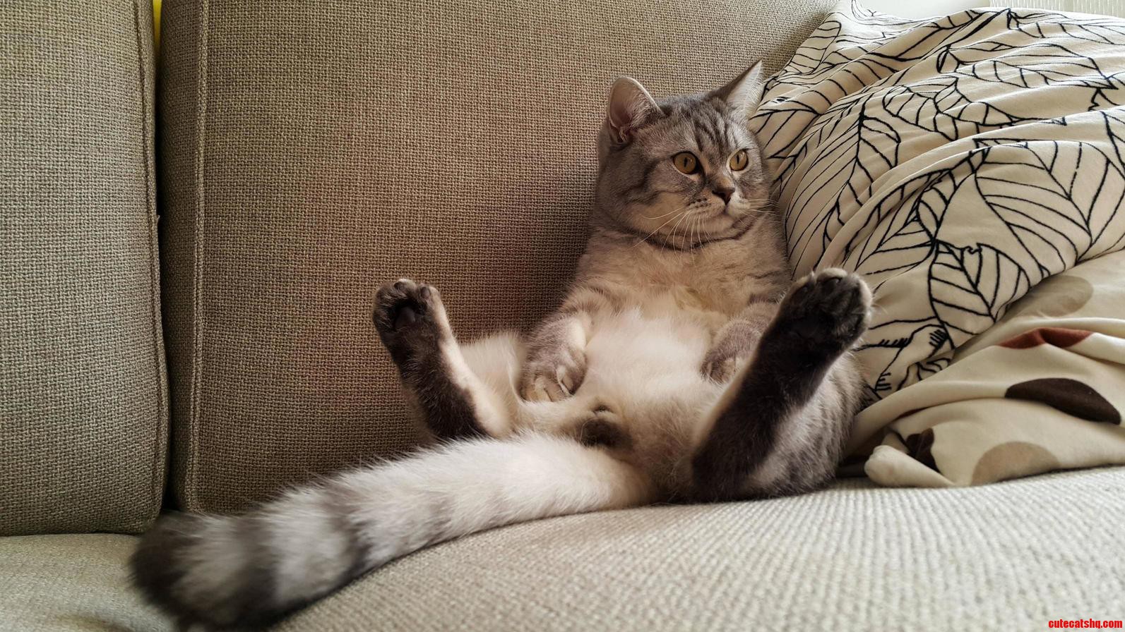 Waffles Just Chilling with His Nuts Out..