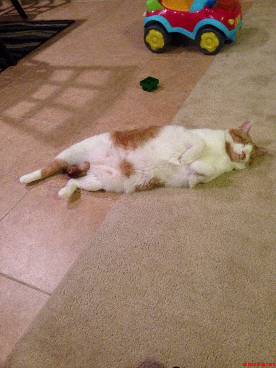Watching Snl40 He Was Not Impressed