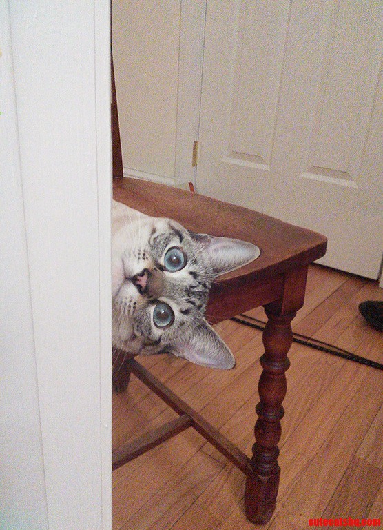 Why Hello There.