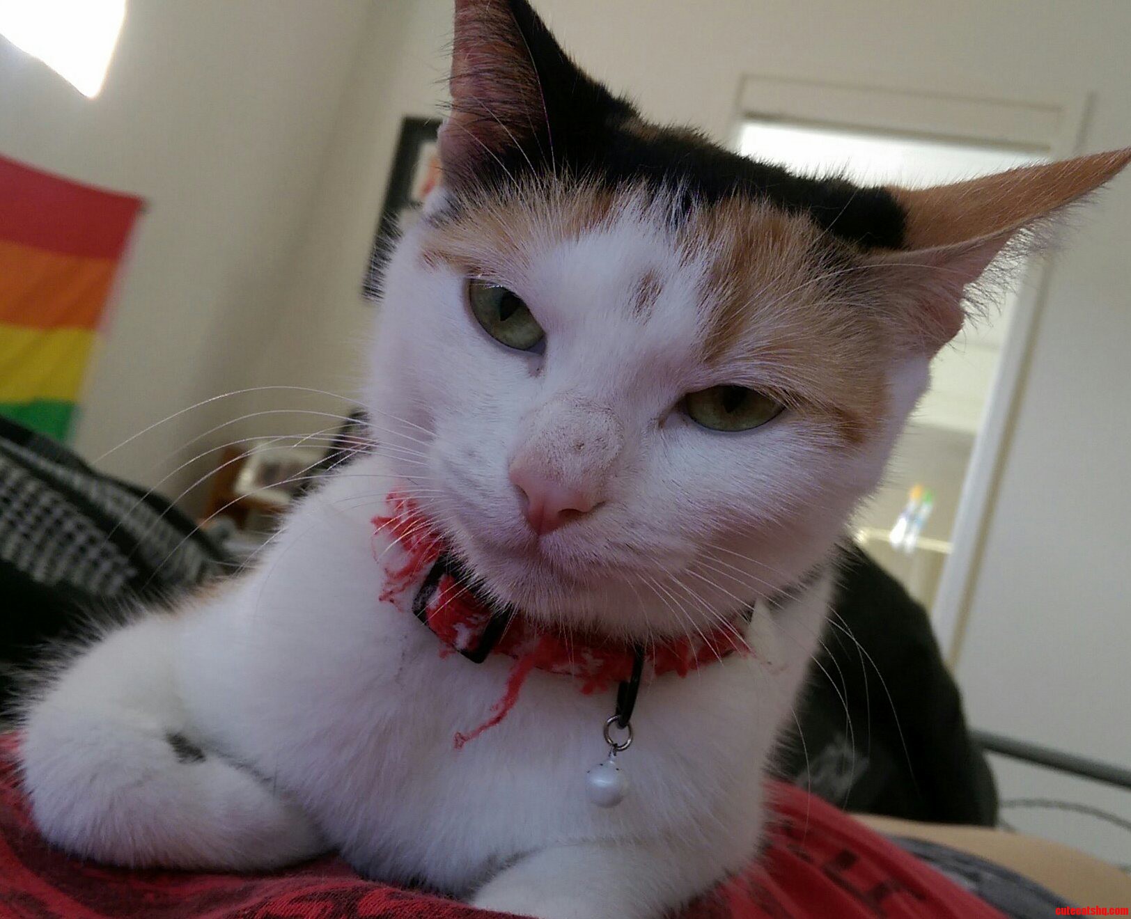Woke Up to This...