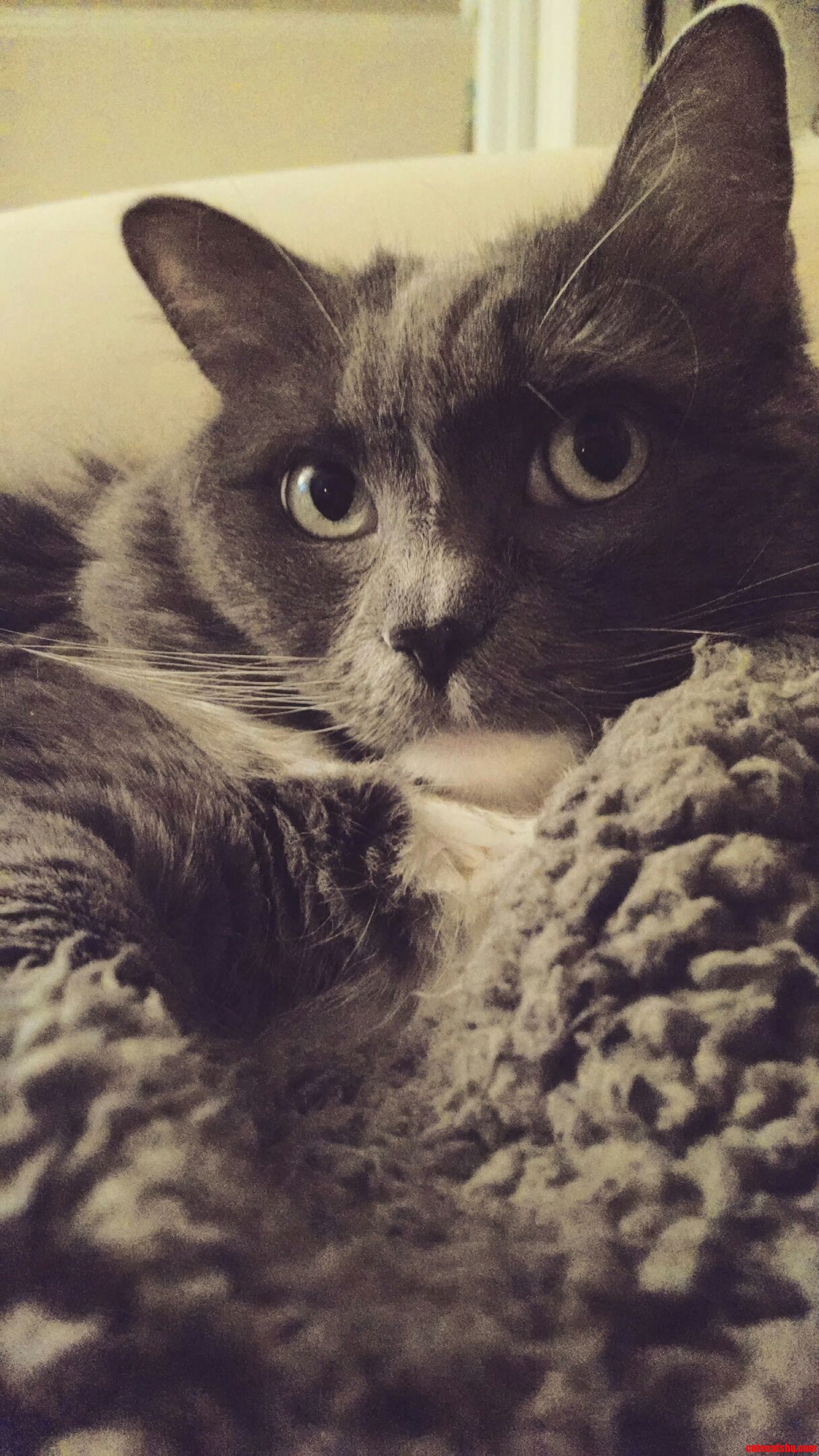 Working the Camera.