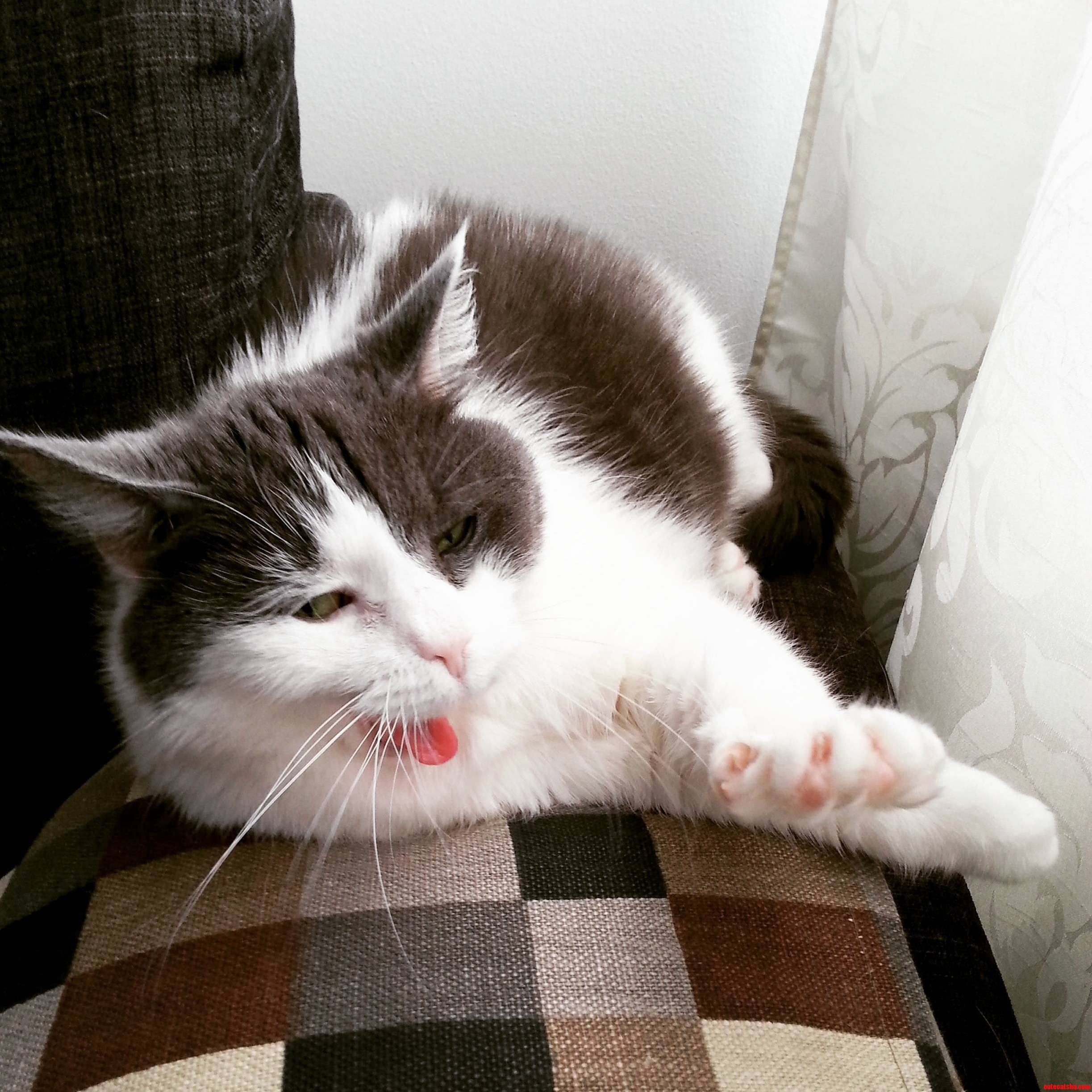 Yaaaawn Why Would You Wake Me Up