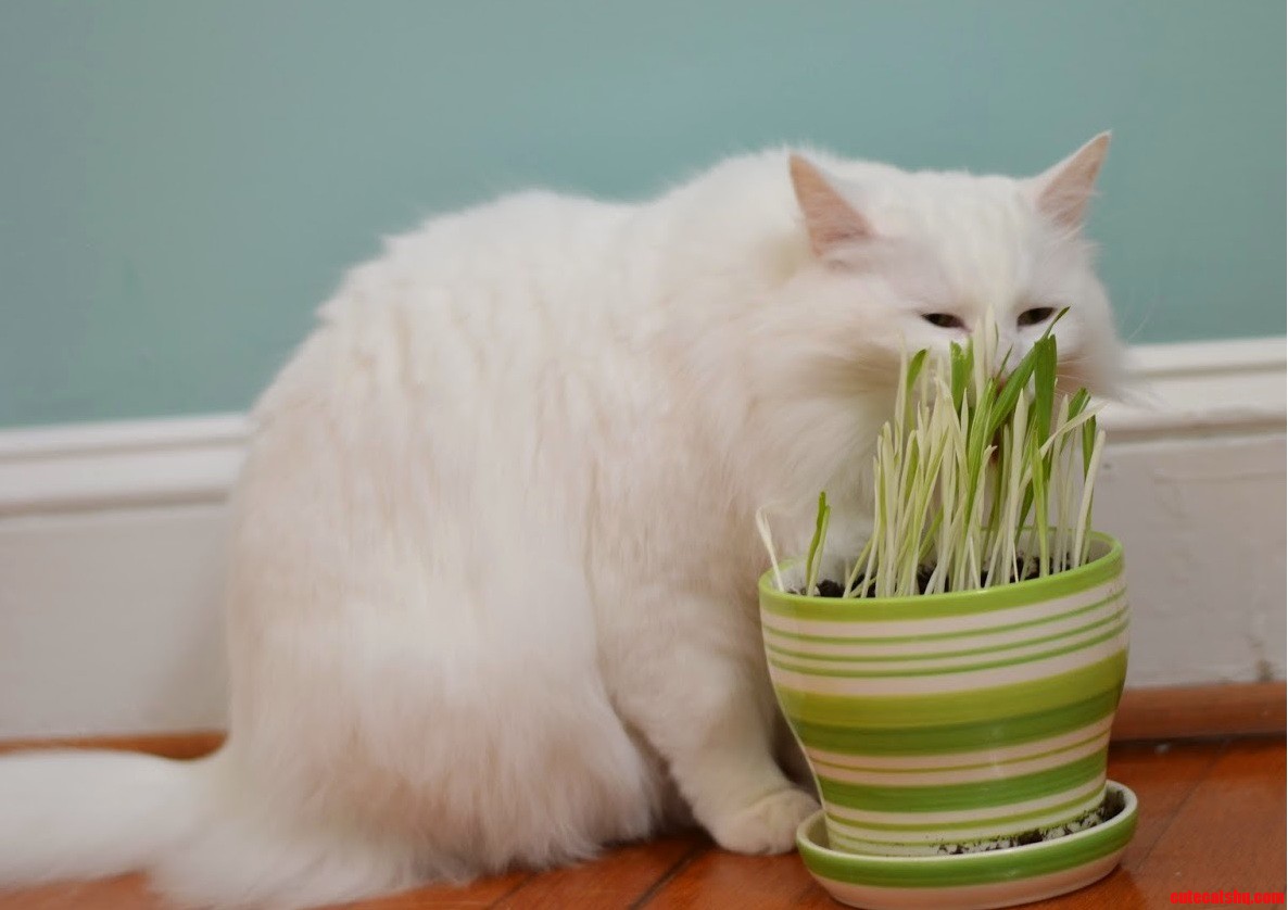 You Cant See Me -.-