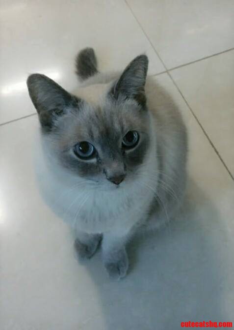 Your Bread. Mine. Now.