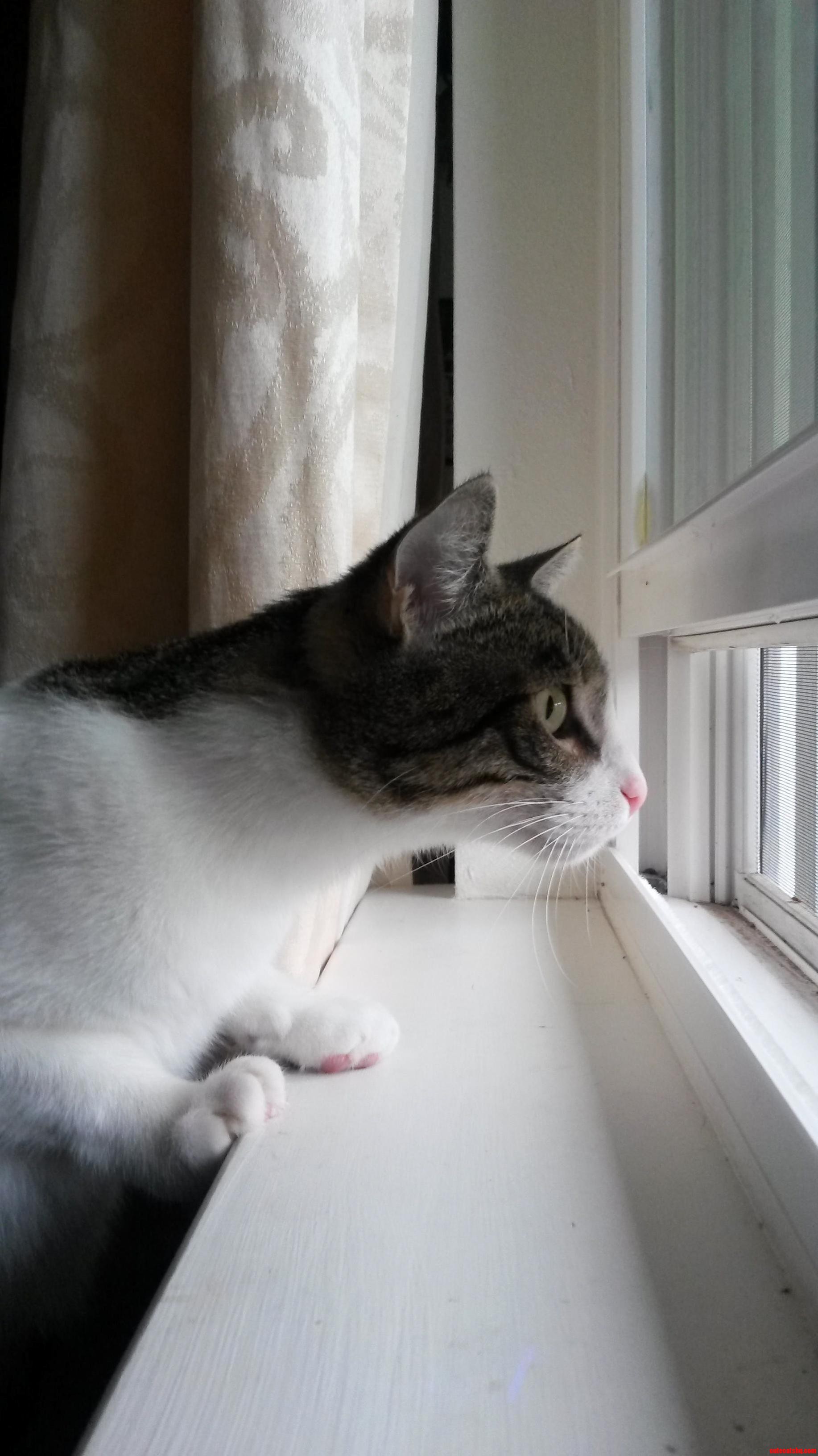 Audrey Is on the Hunt