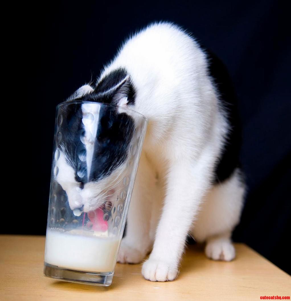 Caught in the Act of Stealing