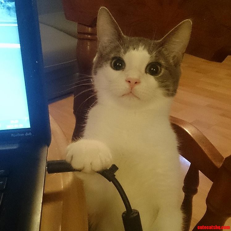 Dude Its Saturday Night. Turn Off the Internet and Go Out