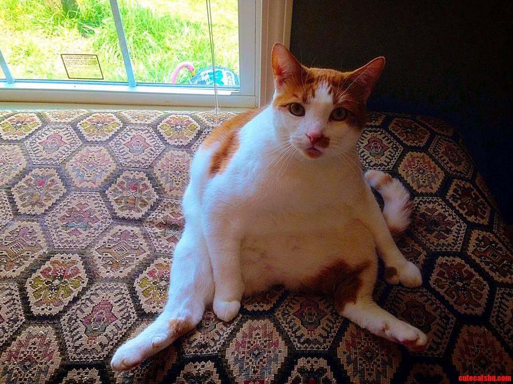 Ernie Says Its Time to Split.