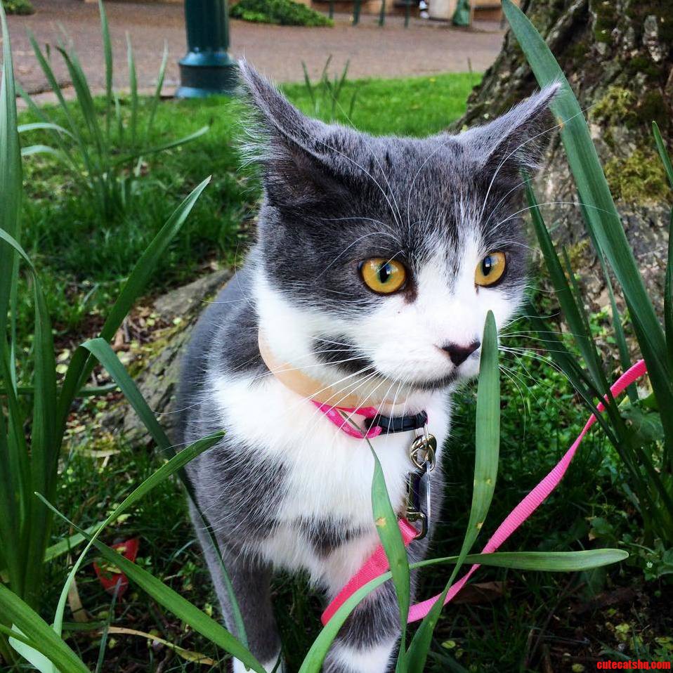 Exploring the Outdoors