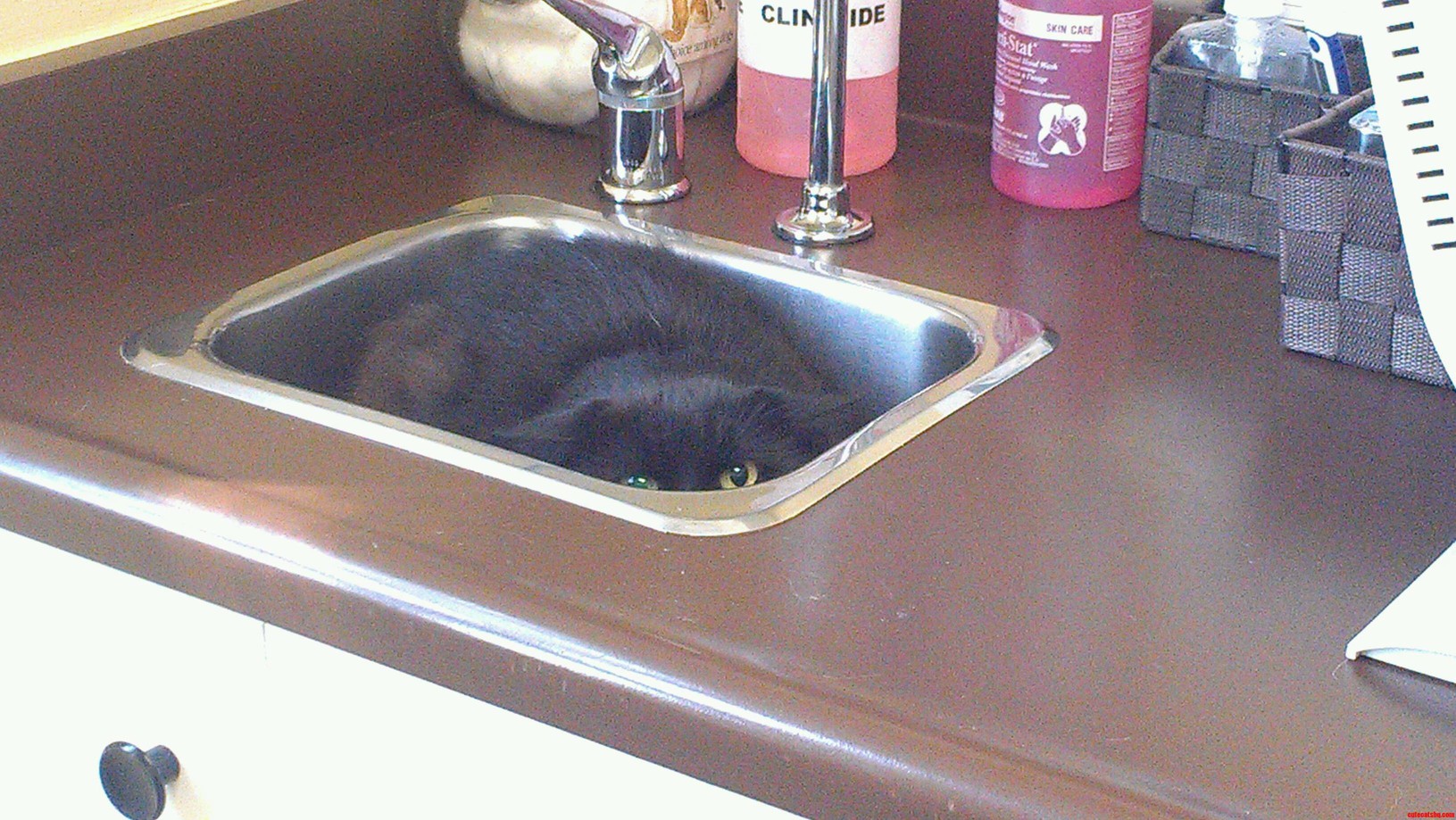 Found Me....