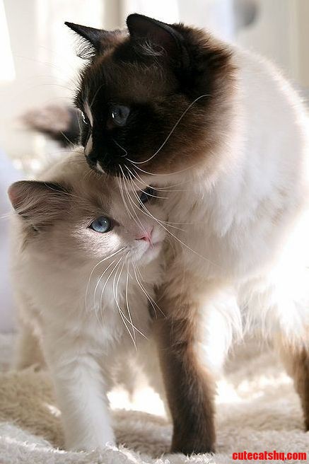 Friends
