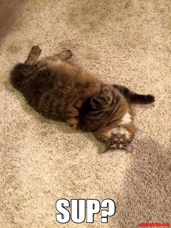 Funny Pose
