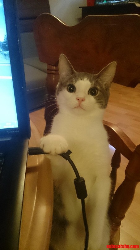 Go Ahead and Test Me