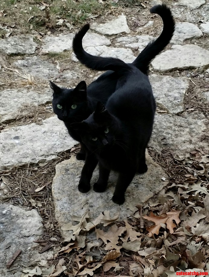 Greeted to This Every Day When I Get Home