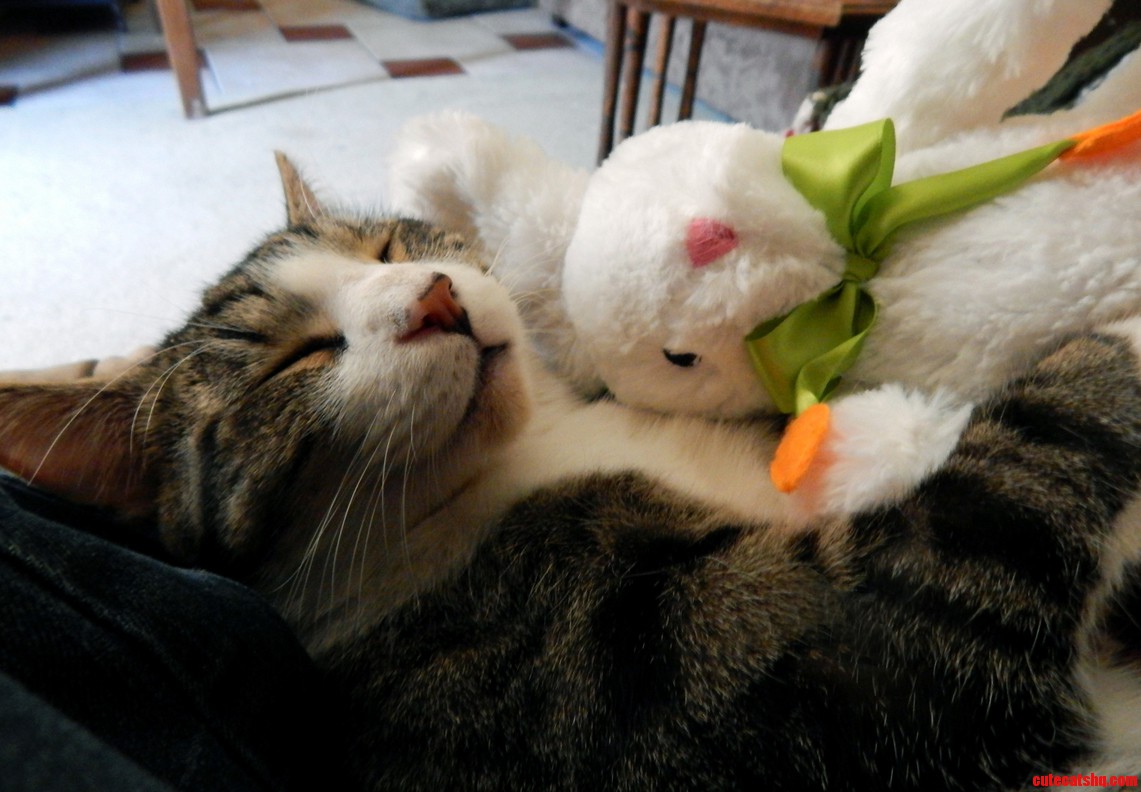Happy Day-after-easter