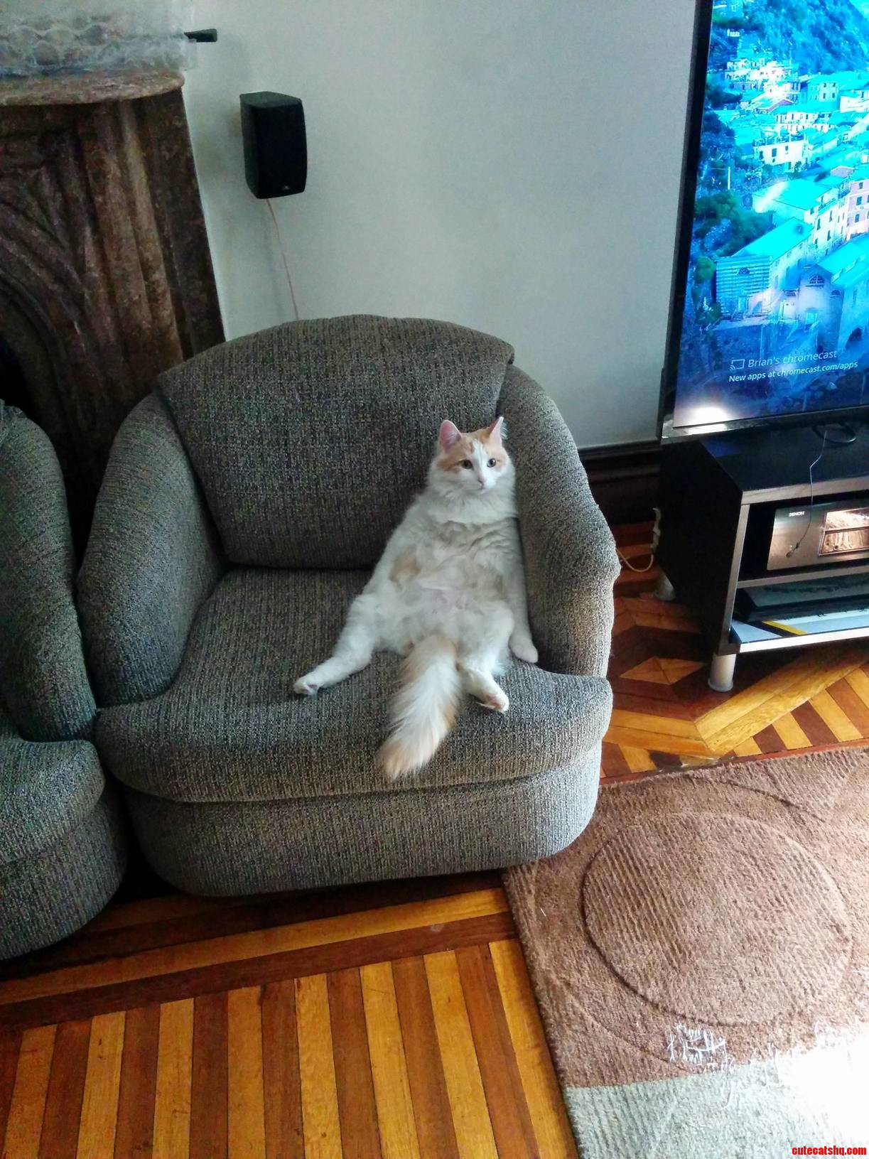 He Thinks Hes People