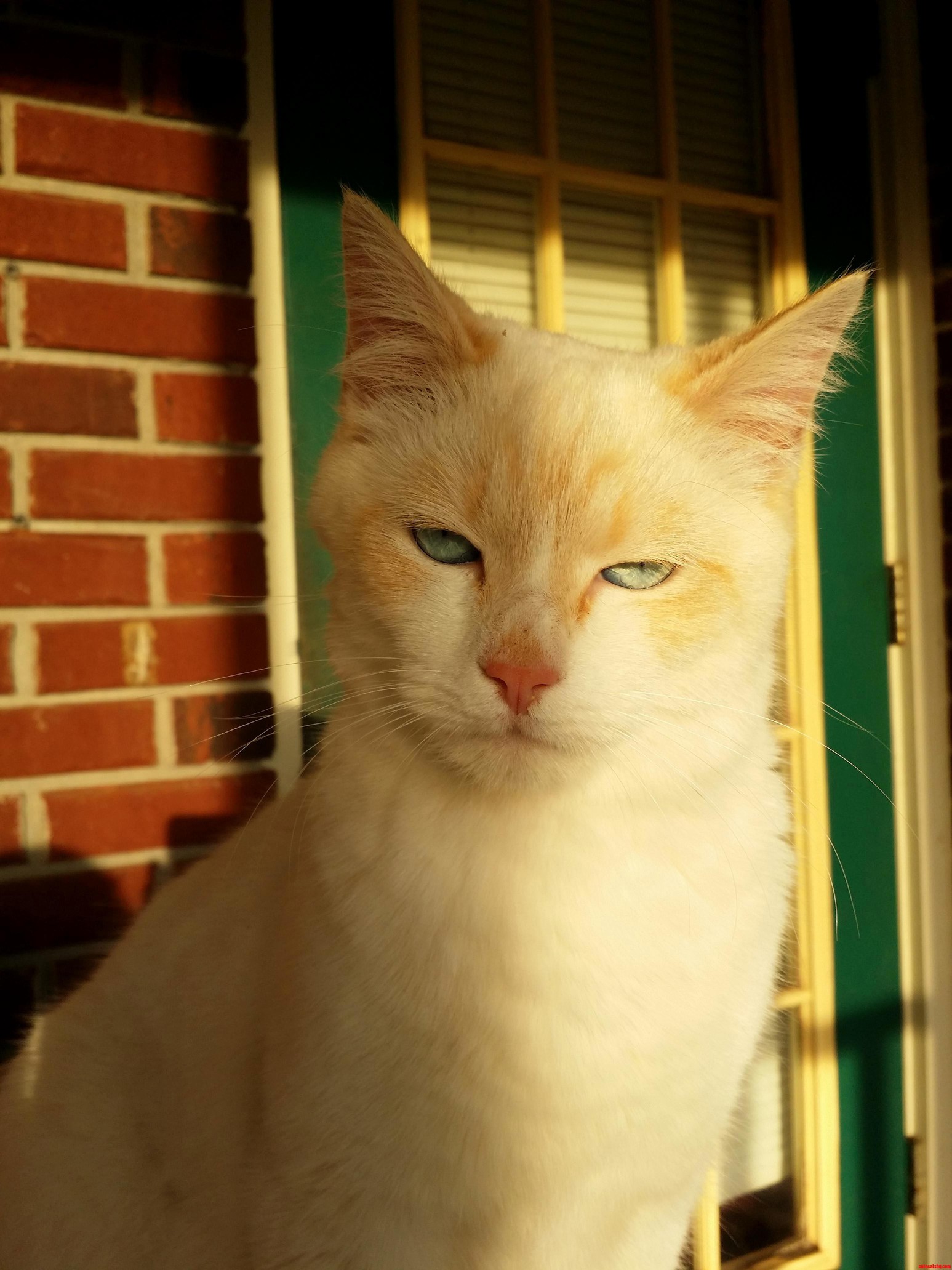 Heard You Was Talking Me
