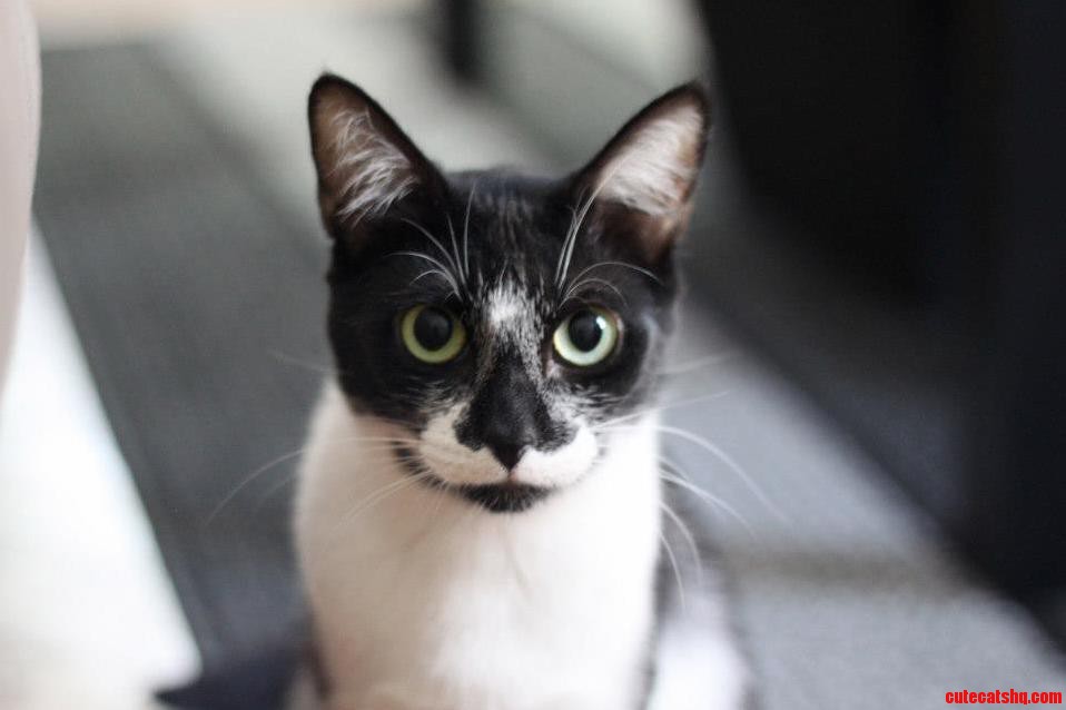 Her Almost Perfect Mustache