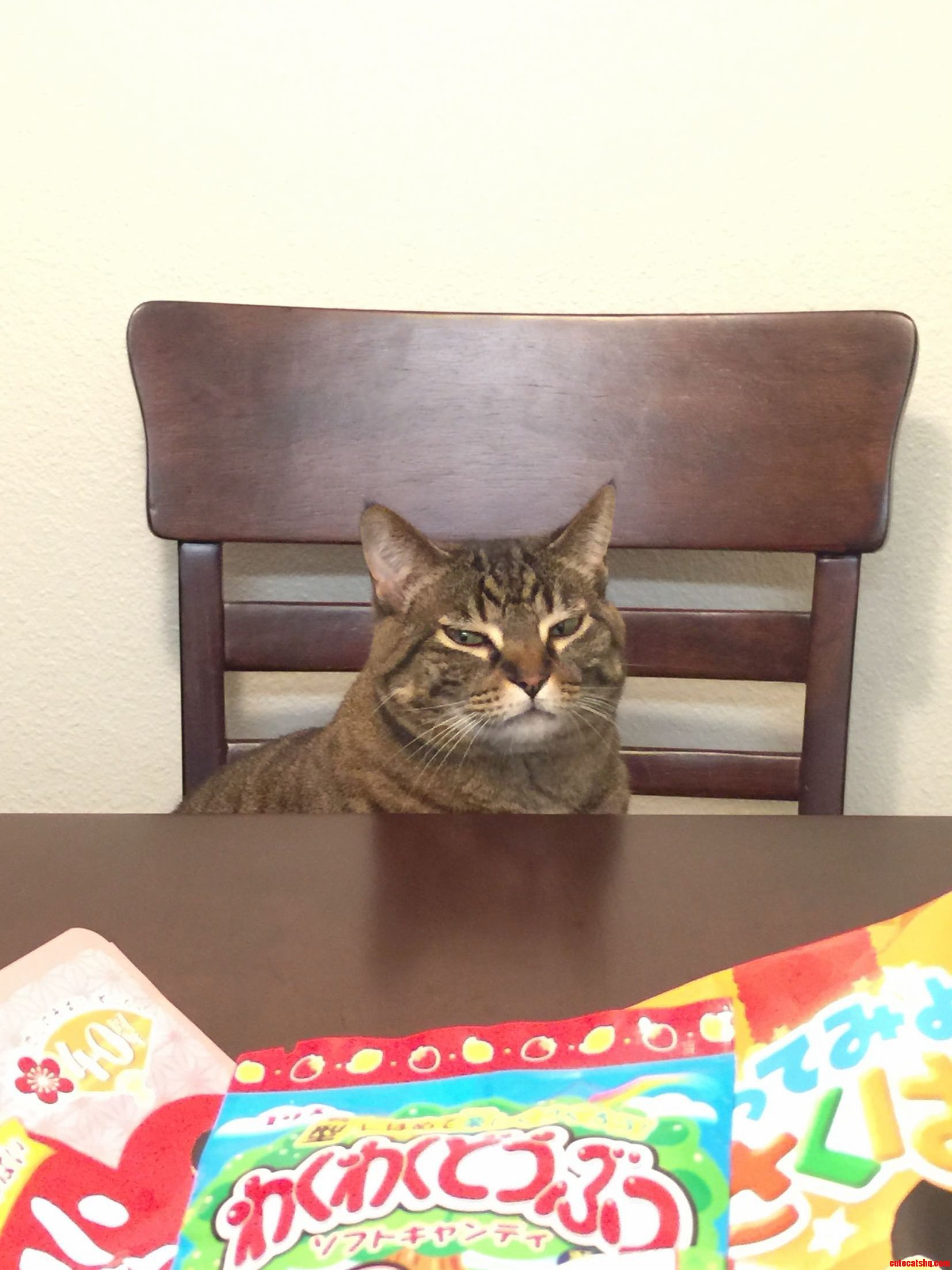 Her Face When I Wont Share My Pizza