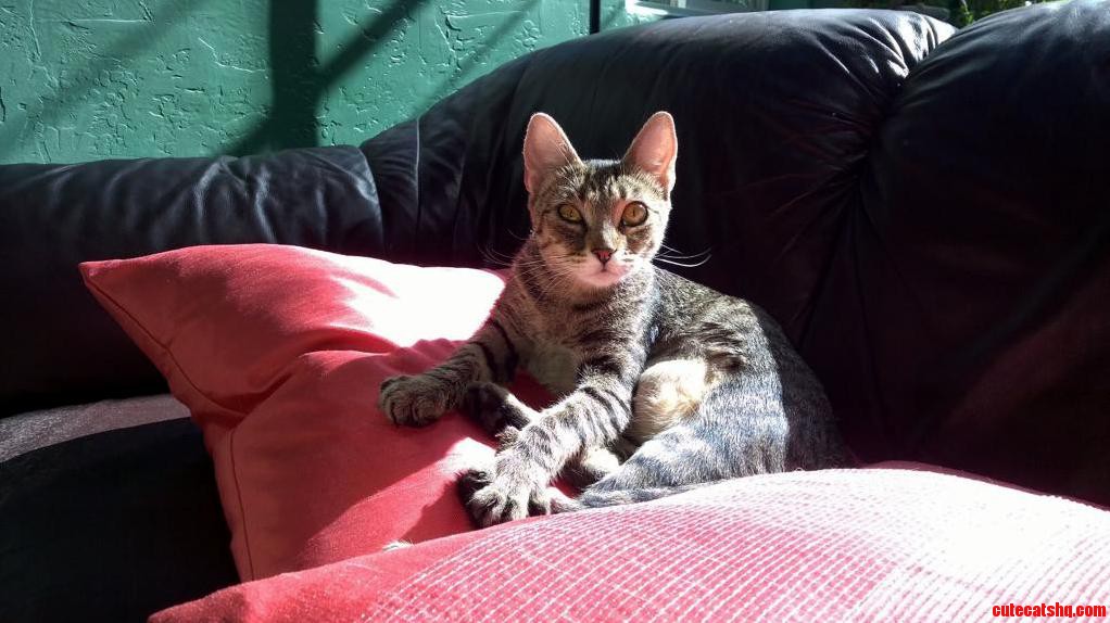 Here Is Kiki Again in Her Full Mischievous Splendor. Fully Charged.