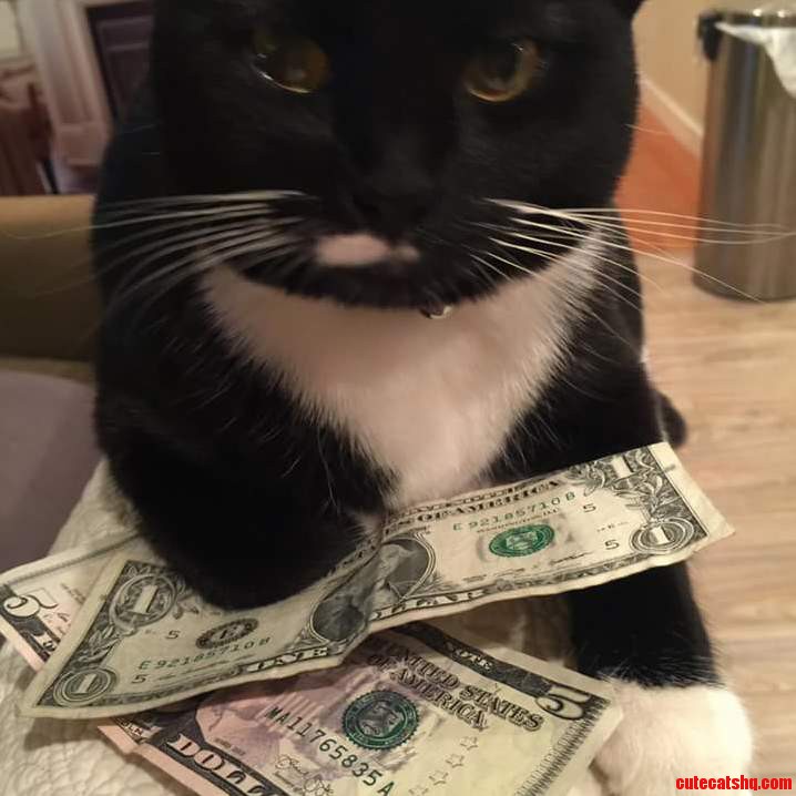 I Ll See You and Raise You a Dollar.