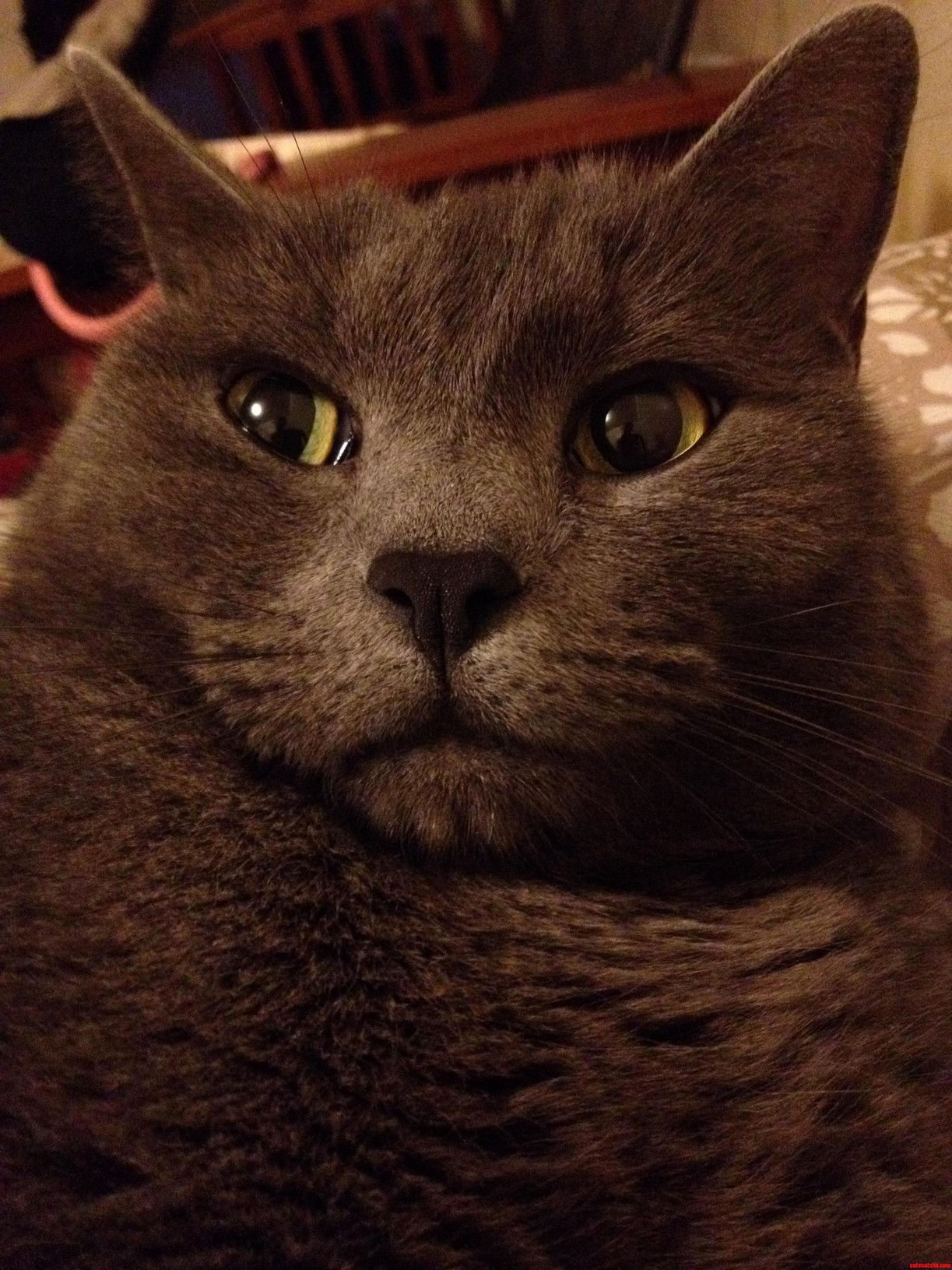 I Love That Face.