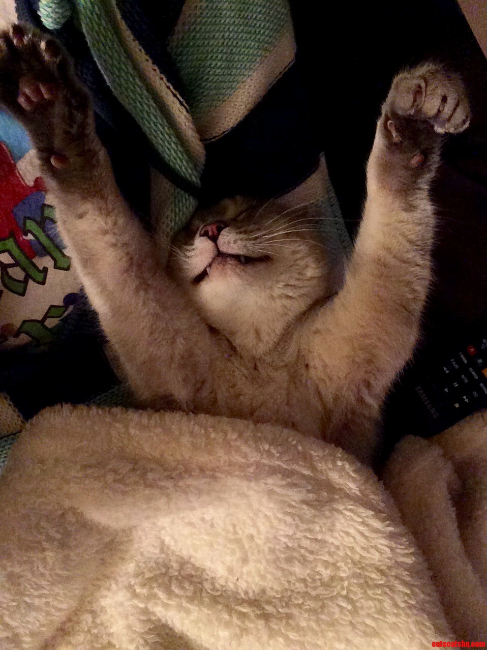 I Think Hes Finally Comfortable