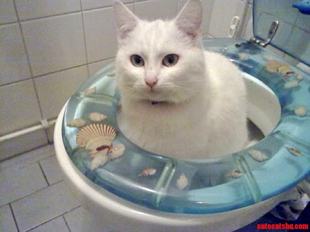 If It Fits I Shits