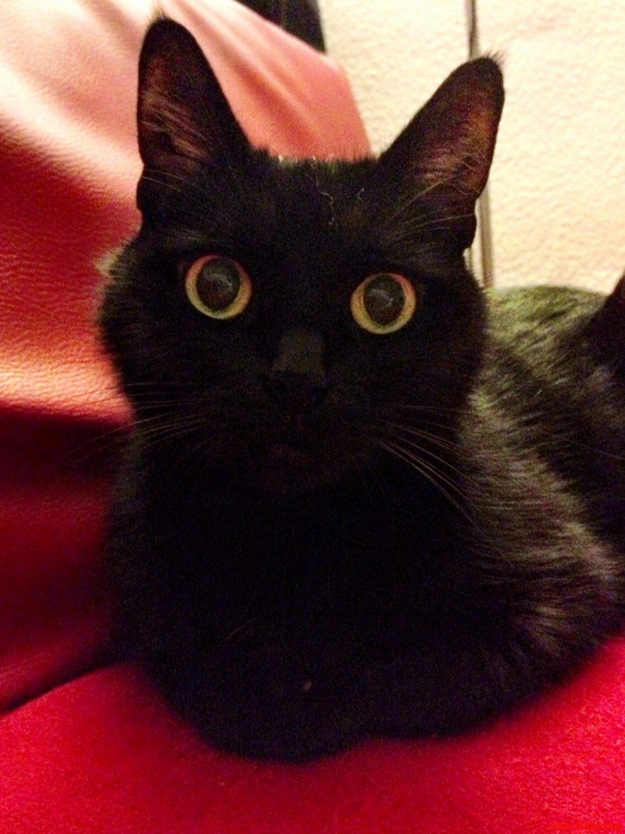 Im Watching You...
