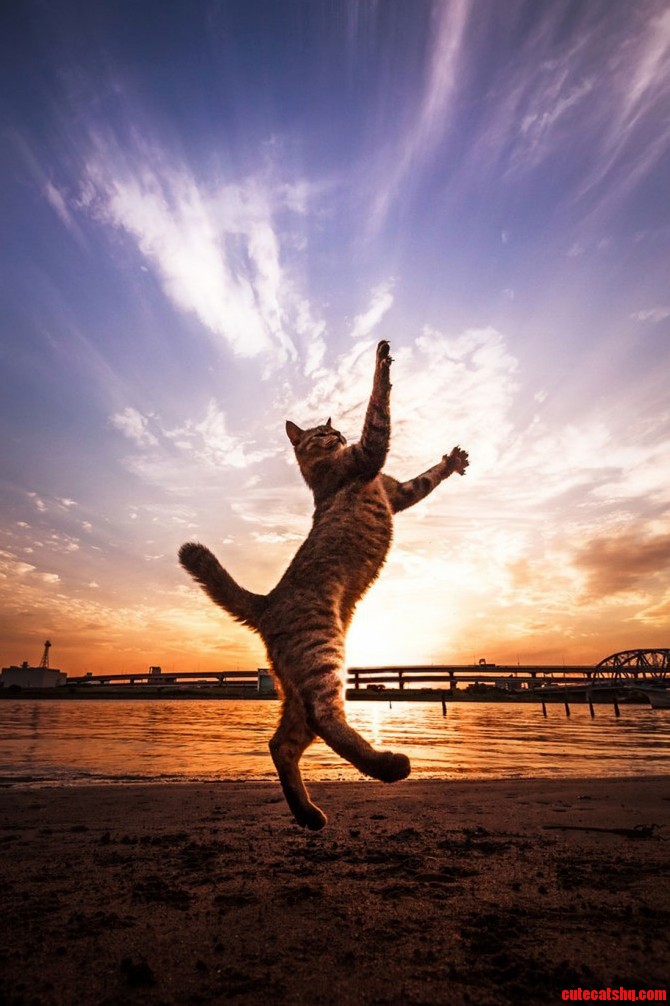 In the Sky There Are Always Answers and Explanations for Everything Every Pain Every Suffering Joy and Confusion.