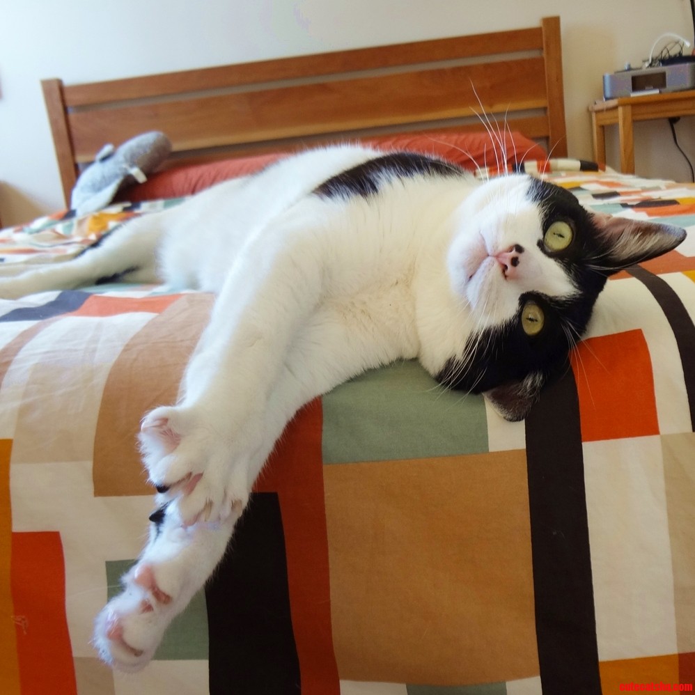 Is It Weekend Yet