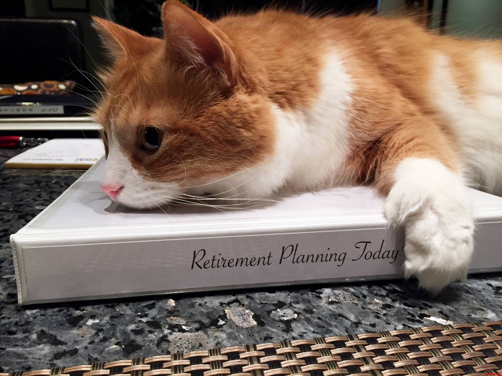 Its Never Too Early to Start Planning for Retirement...especially in Cat Years