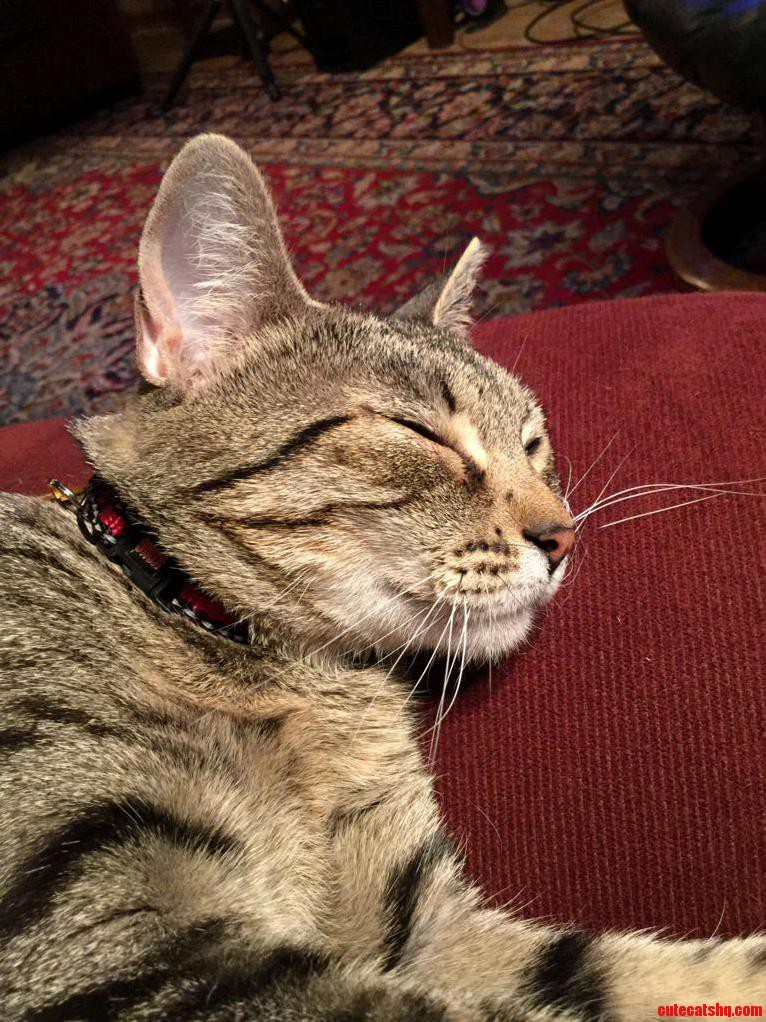 Kiki My Troublemaker Recharging.
