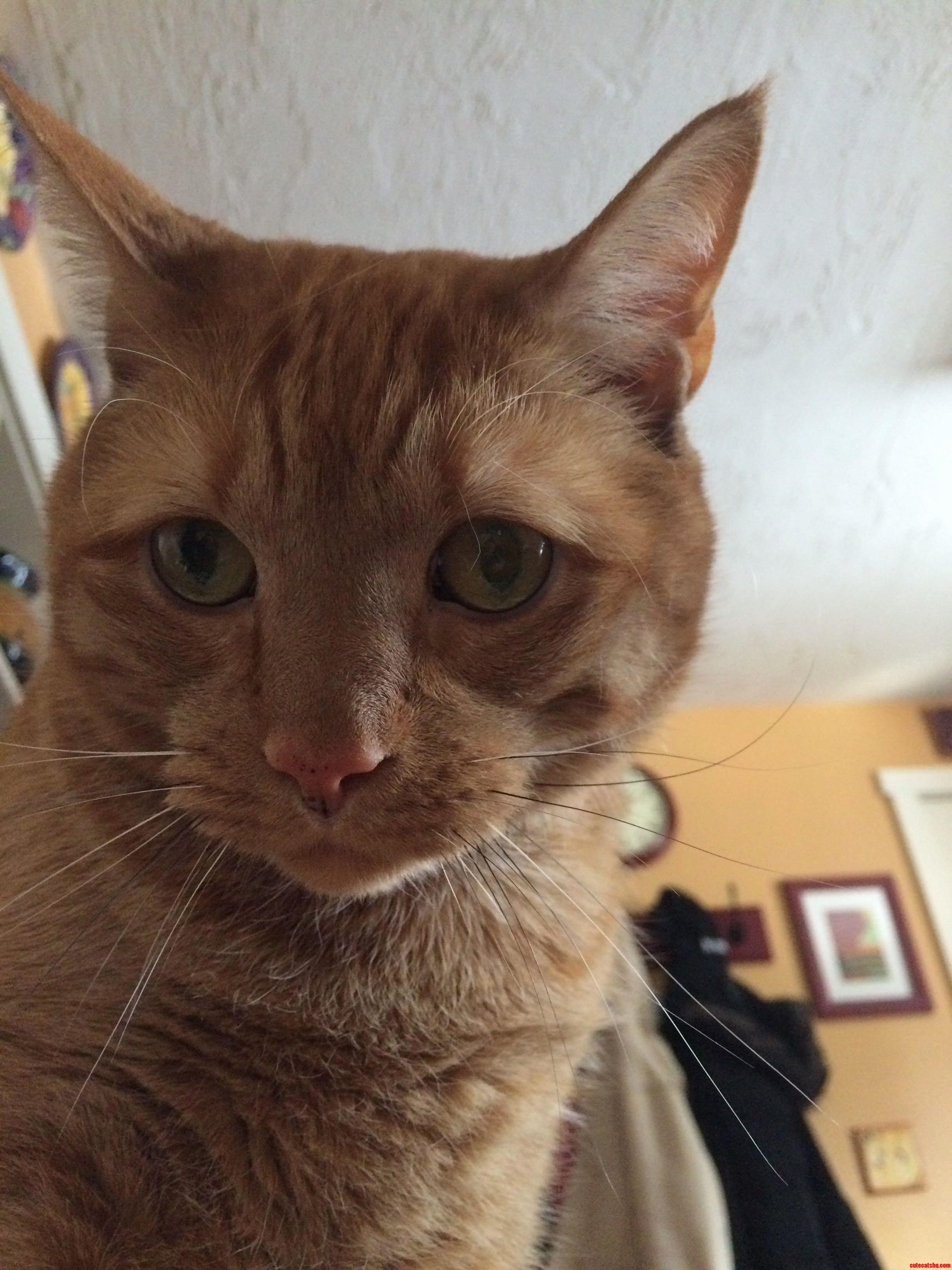 Looking Into Your Soul.