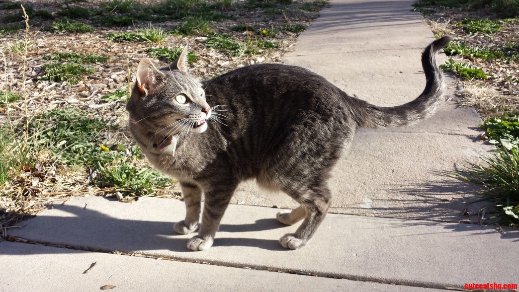 Max About to Murder the Sun