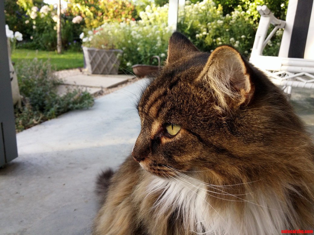 Meet Bert.