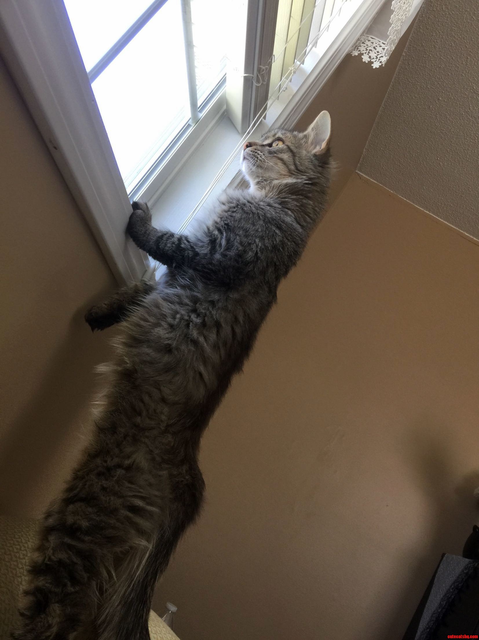 Moms Home