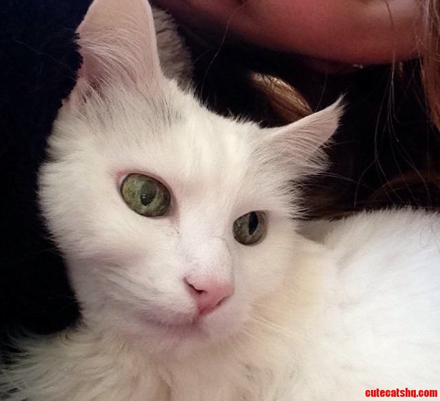 My Beautiful 14-year-old Rosie with Possibly the Most Beautiful Eyes Ever