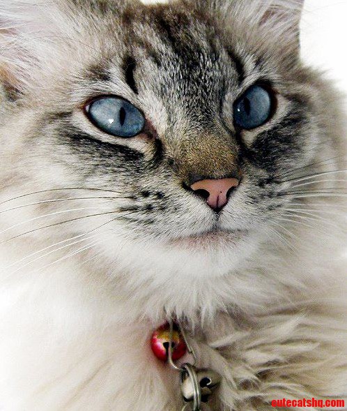 My Beautiful Girl